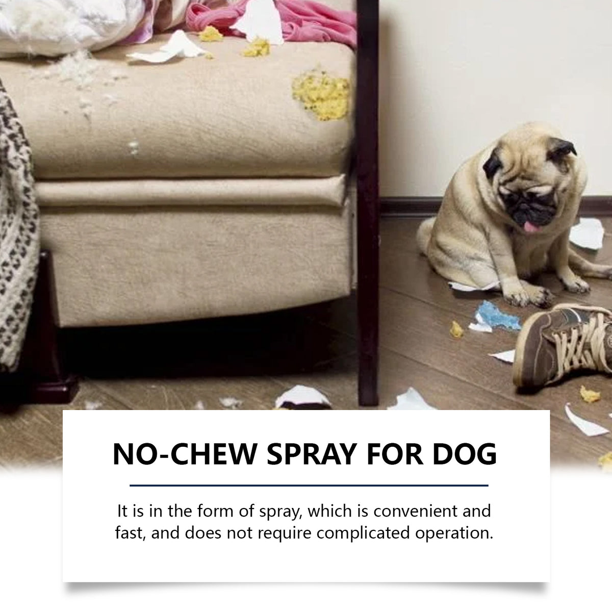 Pug dog sitting beside a chewed sofa and shoe demonstrating how no-chew spray stops destructive chewing
