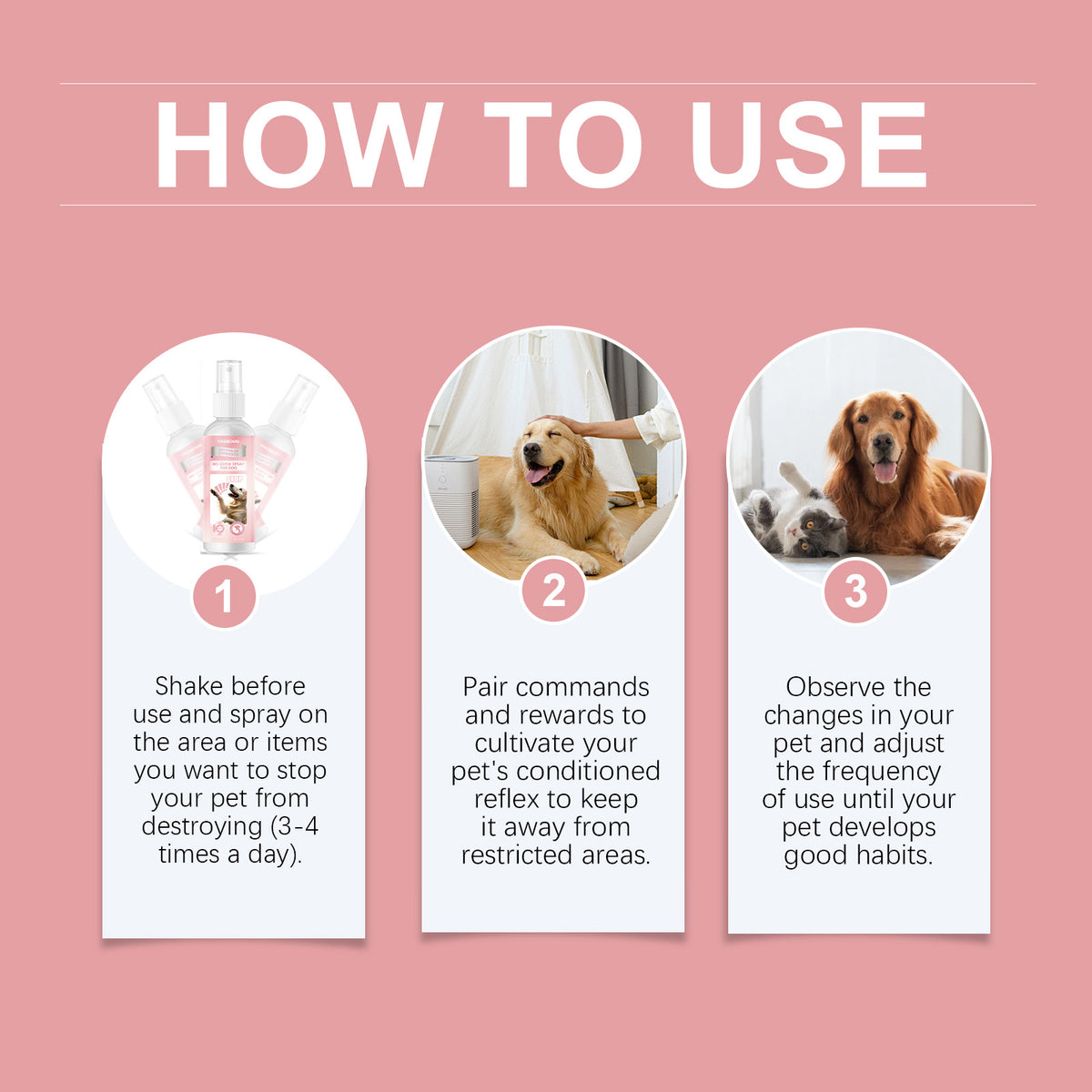 Step-by-step how-to-use guide showing how to apply bitter anti-chew spray and reinforce good pet behavior
