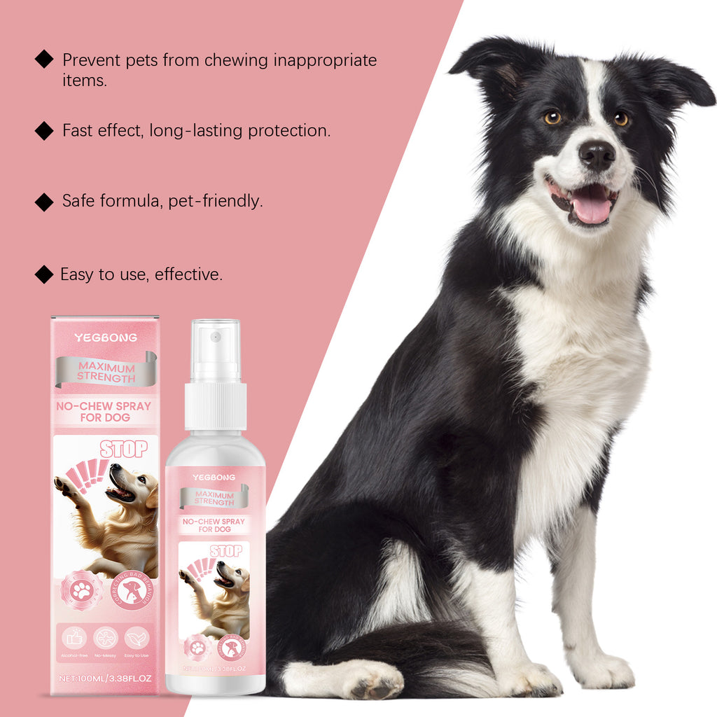 Border Collie sitting beside pet-friendly anti-chew training spray highlighting fast and long-lasting protection
