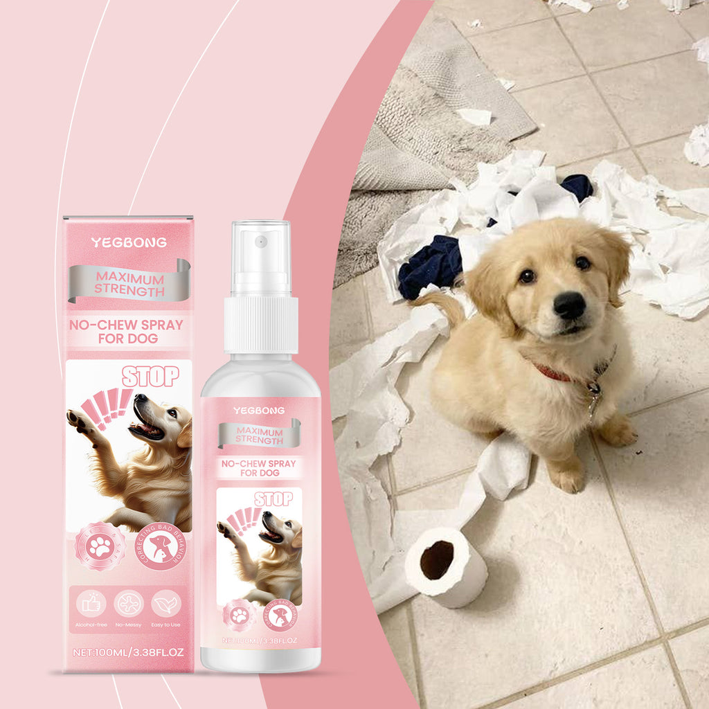 Golden retriever puppy sitting next to torn paper and bitter dog deterrent spray bottle on floor

